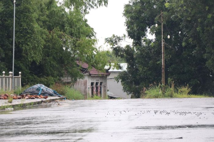 Riêng đoạn Km 3+700 - Km 4+890 (dài 1,19km) qua phường Bàn Thạch đến nay vẫn chưa hoàn thành mặt bằng nên dự án đã 4 lần điều chỉnh thời gian thực hiện; hợp đồng thi công chậm hơn 5 năm so với thời hạn ban đầu (ngày 22/7/2021).