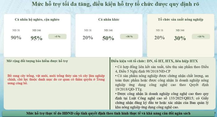 Nguồn: Cục Quản lý, giám sát bảo hiểm.