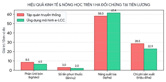 Biểu đồ so sánh các chỉ số nông học và kinh tế giữa tập quán cũ và mô hình e-LCC trên 1 ha khảo nghiệm