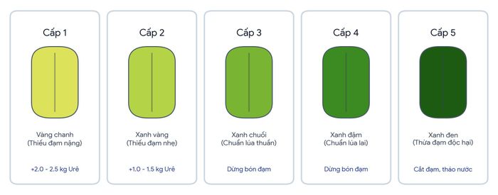 Giao diện 5 cấp độ màu lá chuẩn hóa của mô hình e-LCC tích hợp thuật toán khuyến cáo bón phân cho 1 sào Bắc Bộ