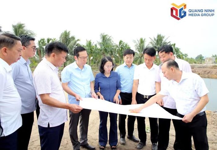 Phó Bí thư Thành ủy, Chủ tịch HĐND thành phố Quảng Ninh Trịnh Thị Minh Thanh kiểm tra tiến độ GPMB khu vực nhà ga tuyến đường sắt tốc độ cao Hà Nội - Quảng Ninh tại phường Yên Tử. Ảnh: Mạnh Trường (Q.M.G)