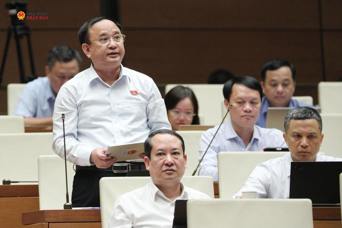 ĐBQH Trần Đức Thuận (Nghệ An) phát biểu. Ảnh: Khánh Duy