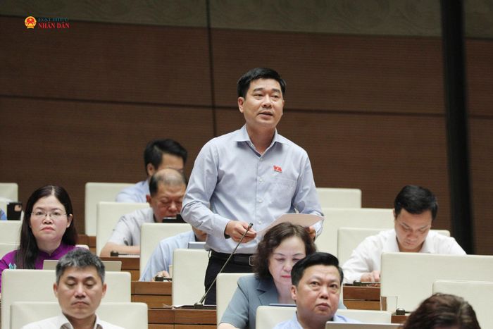 ĐBQH Lê Thanh Hoàn (Thanh Hóa) phát biểu