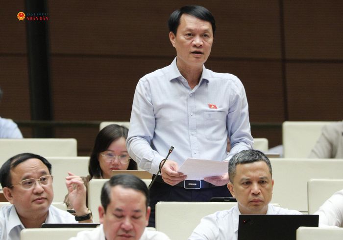 ĐBQH Lương Đình Hưng (Nghệ An) phát biểu. Ảnh: Khánh Duy