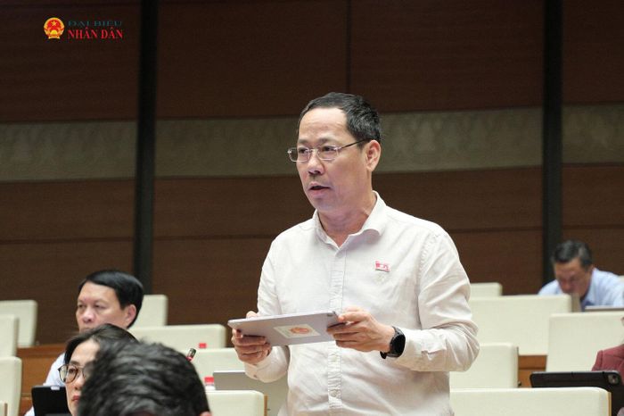ĐBQH Trần Nhật Minh (Nghệ An) phát biểu. Ảnh: Khánh Duy