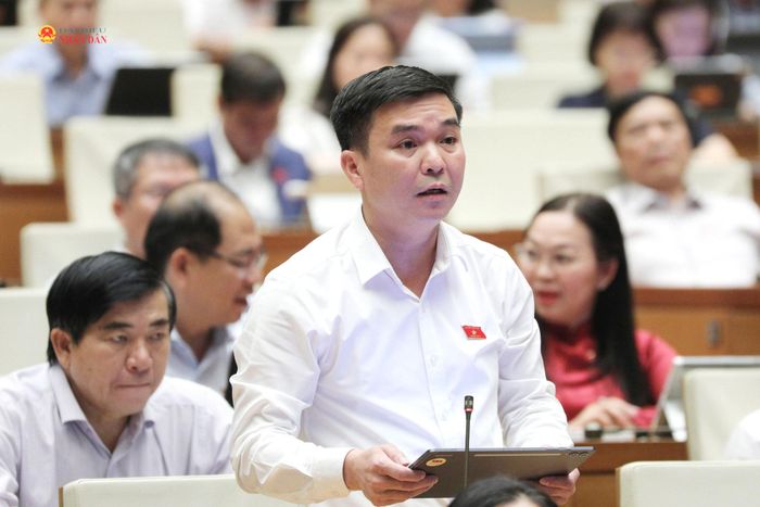 ĐBQH Hà Sỹ Huân (Thái Nguyên) phát biểu thảo luận. Ảnh: Khánh Duy