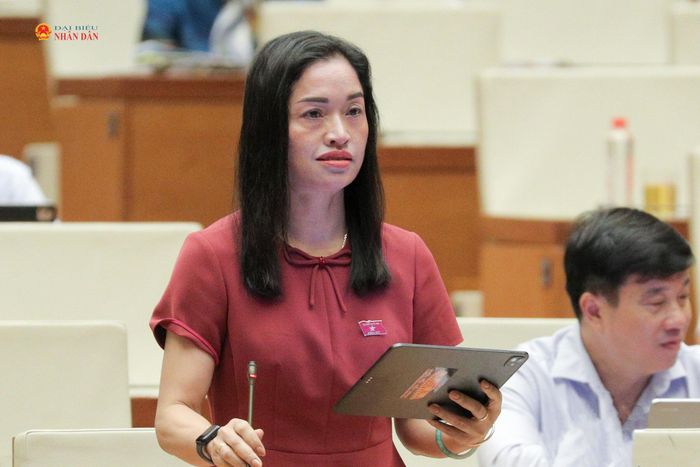 ĐBQH Cil Bri (Lâm Đồng) phát biểu. Ảnh Hồ Long