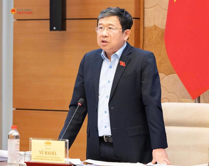 Phó Chủ nhiệm Thường trực Ủy ban Quốc phòng, An ninh và Đối ngoại Vũ Hải Hà phát biểu. Ảnh: Đắc Trường
