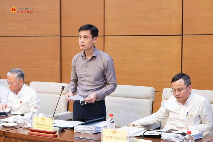 Thứ trưởng Bộ Ngoại giao Đặng Hoàng Giang trình bày Tờ trình. Ảnh: Đắc Trường
