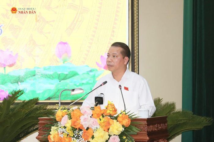 Lãnh đạo các sở trình bày báo cáo tờ trình và dự thảo các nghị quyết tại kỳ họp.