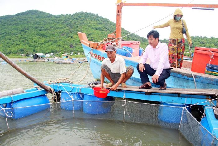 Bè nuôi cá tại vùng biển Kiên Hải, tỉnh An Giang của ông Phan Hữu Phú