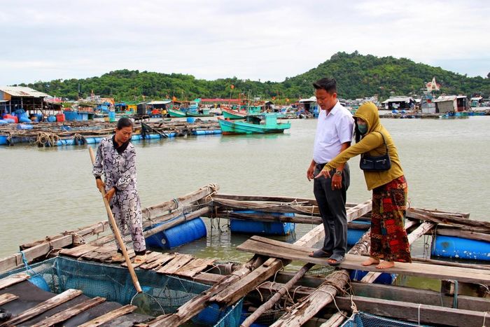 Nhằm góp phần giải quyết việc làm, nâng cao thu nhập của người dân vùng biển, thời gian qua Phòng giao dịch NHCSXH Kiên Hải đã xét cho vay 332 hộ với dư nợ hơn 22 tỷ đồng để phát triển nghề nuôi hải sản lồng bè trên biển.