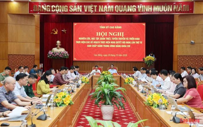 Các đại biểu dự hội nghị tại điểm cầu Tỉnh ủy.