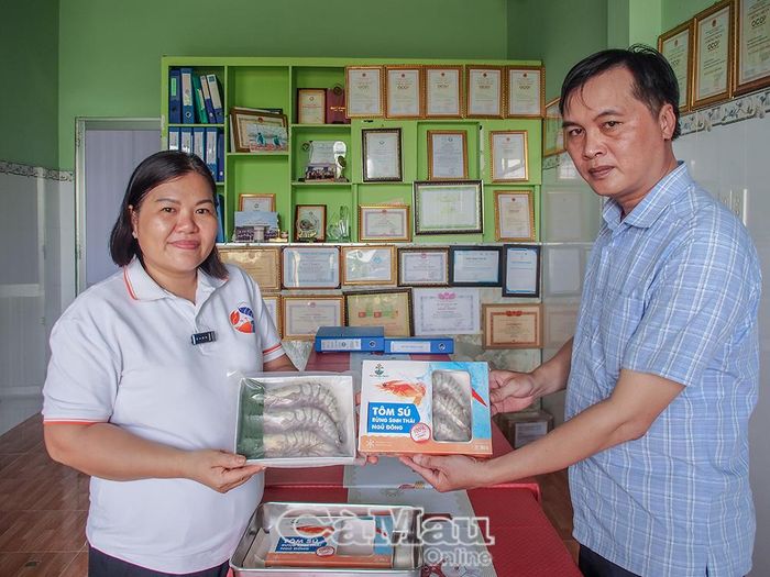Tôm sú cấp đông chuẩn OCOP 3 sao của HTX Tài Thịnh Phát Farm.