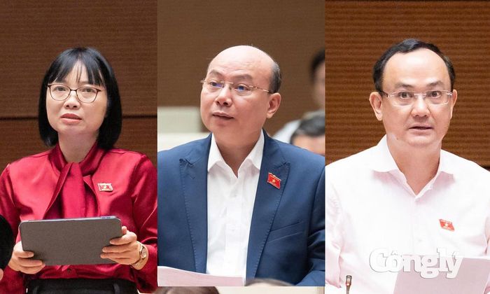 Đại biểu Nguyễn Thị Việt Nga (Đoàn ĐBQH TP. Hải Phòng), đại biểu Hoàng Văn Nghĩa (Đoàn ĐBQH tỉnh Quảng Ngãi) và đại biểu Nguyễn Ngọc Sơn (Đoàn ĐBQH TP. Hải Phòng).