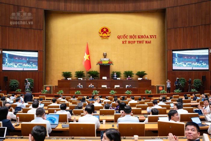 Toàn cảnh phiên thảo luận