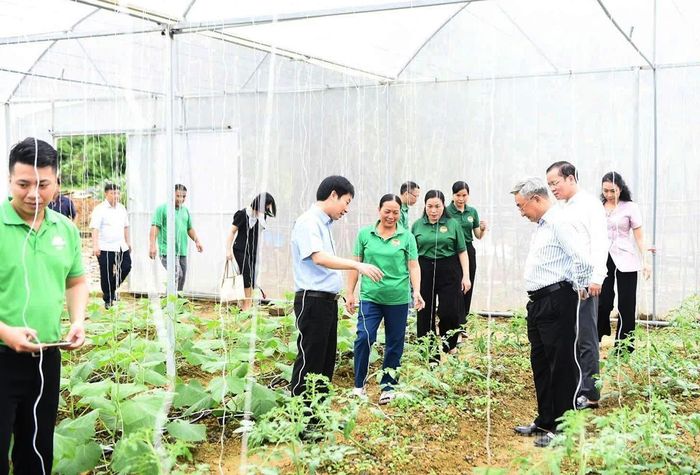 Trung ương Hội Nông dân Việt Nam, lãnh đạo Hội Nông dân tỉnh thăm mô hình sản xuất nông sản công nghệ cao của chị Chu Thị Bình, thôn Đoàn Kết, xã Thái Bình.