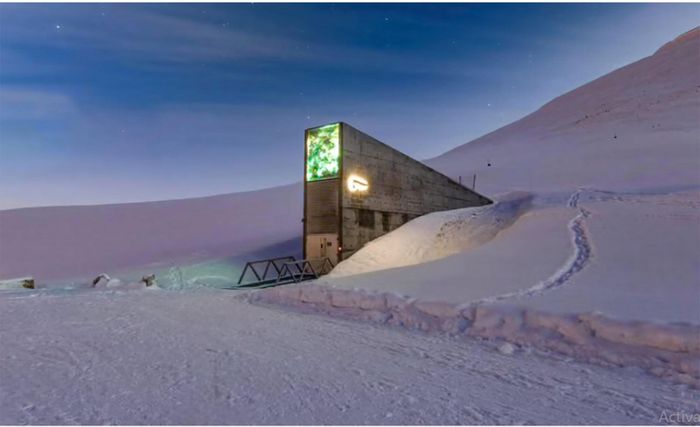 Hầm chứa hạt giống toàn cầu Svalbard nằm sâu trong lòng núi băng ở Longyearbyen - nơi lưu giữ “bảo hiểm sinh học” cho tương lai nhân loại. (Ảnh: The Guardian)