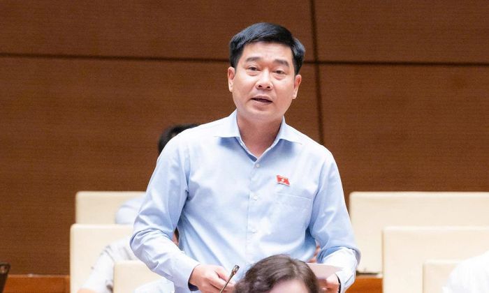 Đại biểu Quốc hội Lê Thanh Hoàn.