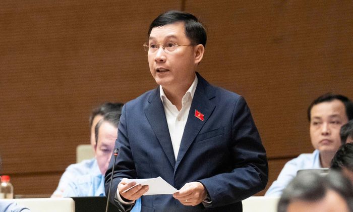 Đại biểu Quốc hội Lê Hoàng Anh.