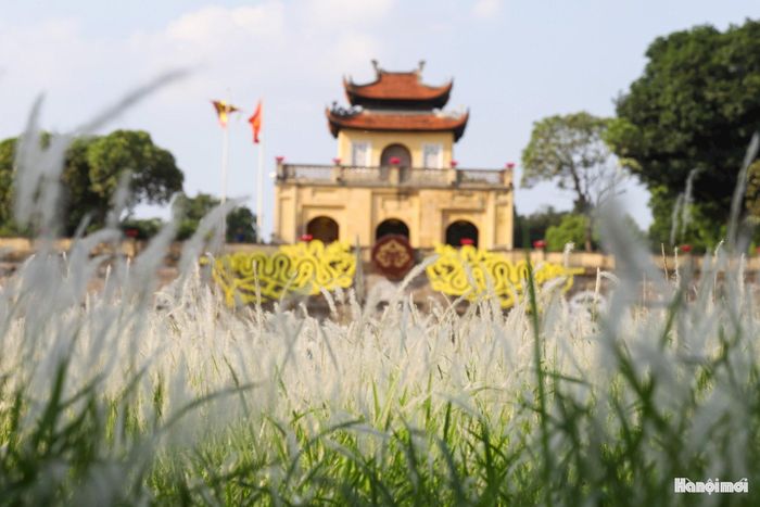 Trung tâm Bảo tồn Di sản Thăng Long - Hà Nội áp dụng công nghệ trong việc bảo tồn và phát huy giá trị di sản.