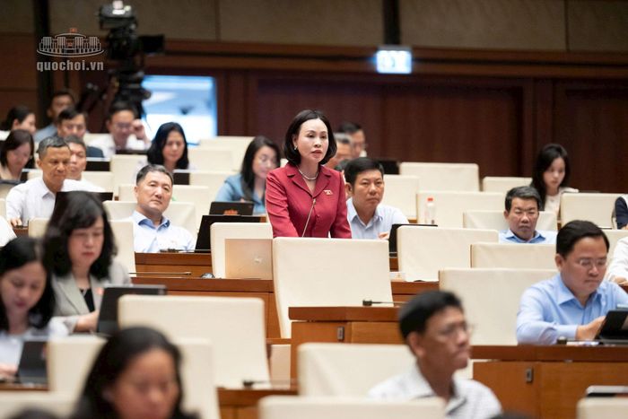 Đại biểu Trần Thị Hồng Thanh (Đoàn Ninh Bình) thảo luận tại hội trường. Ảnh: quochoi.vn