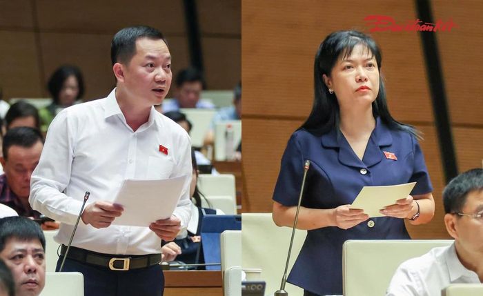 Các đại biểu tham gia phát biểu thảo luận (Ảnh: Quang Vinh)