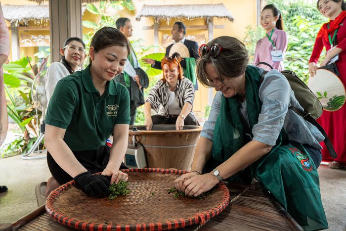 Dừng chân tại ga Lưu Xá, đoàn đại sứ và trưởng đại diện đến vùng chè Tân Cương, một trong những vùng trà nổi tiếng của Thái Nguyên. Tại đây, các vị khách quốc tế trực tiếp trải nghiệm hái chè, sao chè và tìm hiểu quy trình sản xuất trà truyền thống của địa phương.