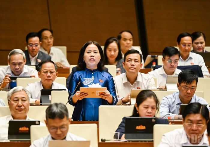 Đại biểu Quốc hội Lý Thị Lan (Đoàn Tuyên Quang). (Ảnh: DUY LINH)