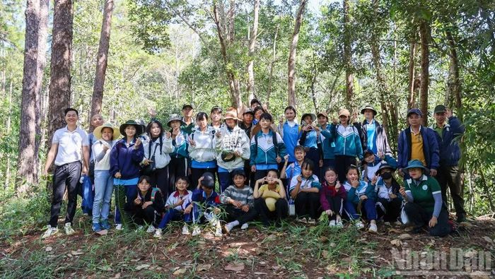 Hoạt động trải nghiệm thực tế góp phần nâng cao ý thức bảo vệ môi trường, chuyển hóa thành hành động tự giác trong cuộc sống hằng ngày.