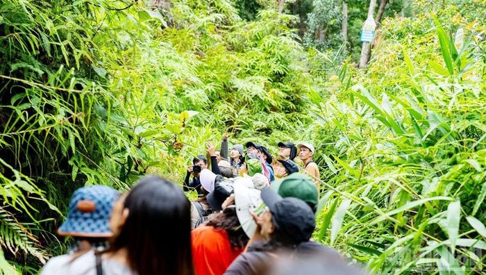 Du khách đến với Vườn quốc gia Tà Đùng được hòa mình vào thiên nhiên, trải nghiệm hệ sinh thái phong phú và đa dạng.