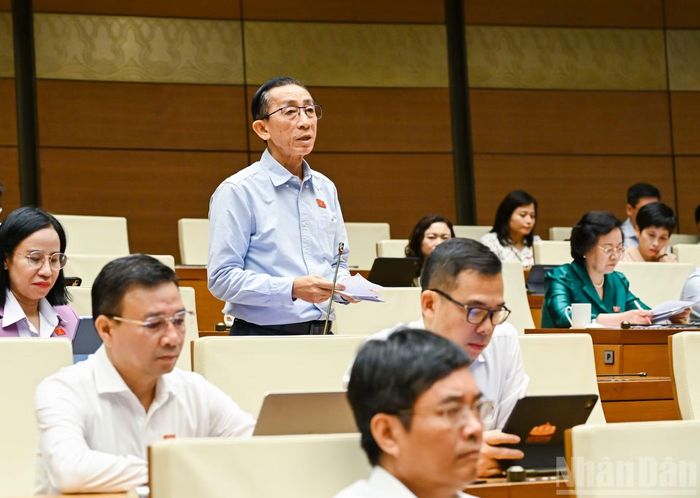 Đại biểu Quốc hội Thành phố Hồ Chí Minh Trần Hoàng Ngân phát biểu tại phiên họp. (Ảnh: DUY LINH)