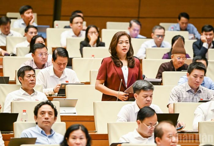 Đại biểu Quốc hội tỉnh Cao Bằng Đoàn Thị Lê An phát biểu thảo luận tại phiên họp. (Ảnh: DUY LINH)