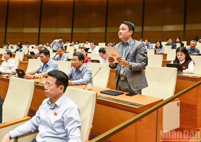 Đại biểu Quốc hội tỉnh Ninh Bình Lê Văn Thế phát biểu thảo luận tại hội trường. (Ảnh: DUY LINH)
