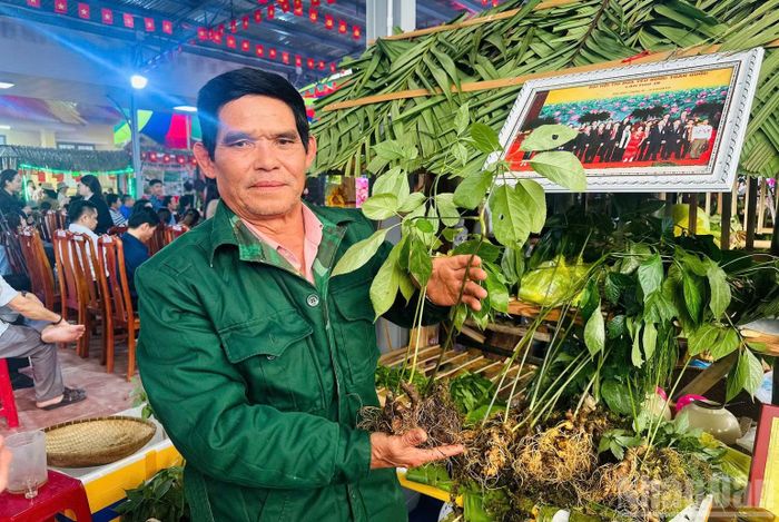 Ông A Hình mang đến Lễ hội sâm Ngọc Linh những cây sâm đẹp và chất lượng từ vườn của gia đình.(Ảnh ĐÔNG HUYỀN)
