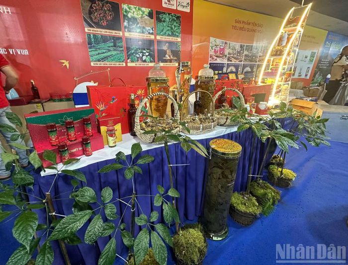 Gian hàng trưng bày sâm Ngọc Linh và các sản phẩm chế biến từ sâm của Công ty cổ phần Sâm Ngọc Linh Kon Tum K5. (Ảnh: ĐÔNG HUYỀN)