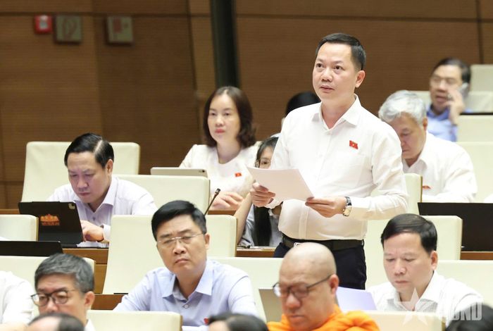 Đại biểu Quốc hội Trịnh Xuân An phát biểu. Ảnh: TRỌNG HẢI
