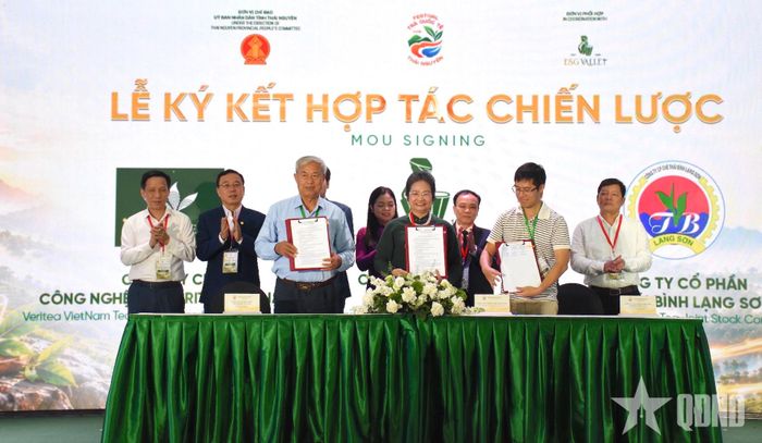  Các đơn vị ký kết hợp tác chiến lược. 