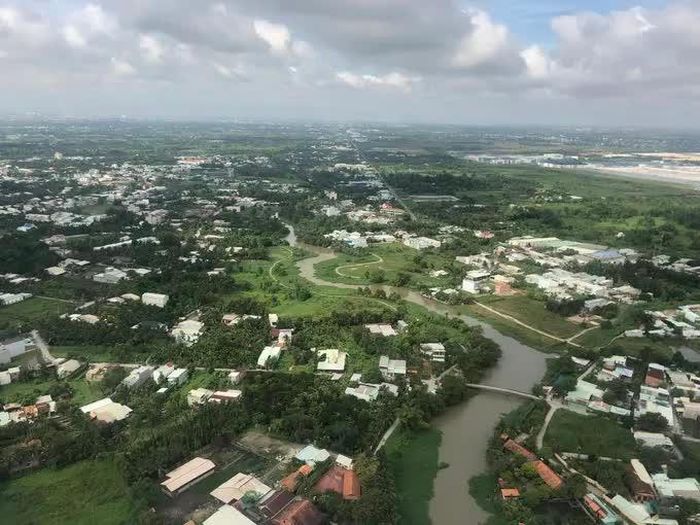  Rừng ngập mặn Cần Giờ. Ảnh: QUỐC HÙNG 
