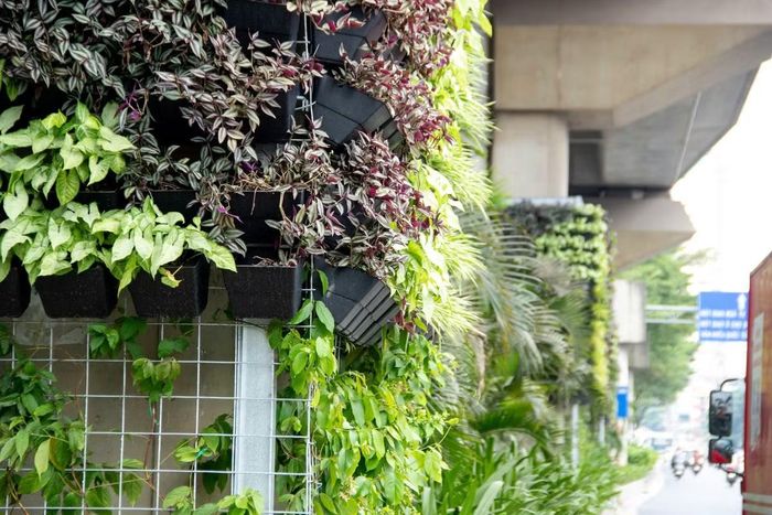 Từ những vị trí thí điểm ban đầu, việc phủ xanh trụ đường sắt đô thị, cầu vượt, hầm chui và nhà chờ xe buýt cho thấy một hướng tiếp cận mới trong tổ chức không gian giao thông Hà Nội. Nếu được duy trì hiệu quả, những mảng xanh nhỏ nhưng phân bố trên nhiều tuyến đường có thể góp phần tạo nên diện mạo đô thị thân thiện, hài hòa hơn, đồng thời nâng cao chất lượng cảnh quan trong đời sống thường ngày của người dân.