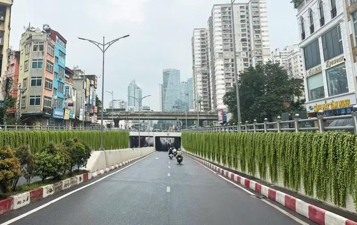Theo phương án kỹ thuật, hệ giàn thép được thiết kế dạng gông ôm quanh thân trụ, không khoan, đục trực tiếp vào kết cấu bê tông. Khoảng cách giữa khung giàn và bề mặt trụ được tính toán để cây có điều kiện sinh trưởng, đồng thời tạo thuận lợi cho việc kiểm tra, bảo trì công trình. Phạm vi phát triển của cây cũng được kiểm soát, không để ảnh hưởng đến xà mũ, dầm cầu và các thiết bị kỹ thuật.