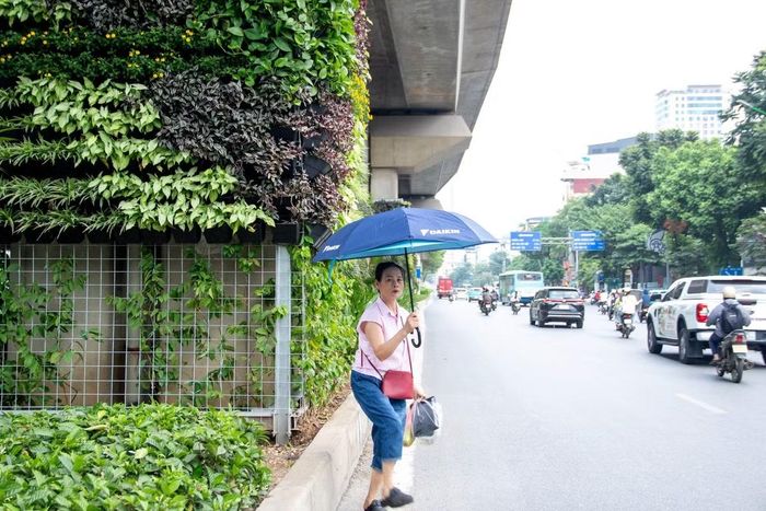 Việc đưa cây xanh vào các công trình giao thông được xem là giải pháp tận dụng những không gian hạ tầng sẵn có để bổ sung mảng xanh cho đô thị. Trong điều kiện quỹ đất dành cho không gian công cộng tại khu vực nội đô còn hạn chế, việc khai thác các vị trí như chân trụ cầu, mái taluy, thành hầm chui hay nhà chờ xe buýt mở ra thêm hướng cải thiện cảnh quan mà không cần tạo lập những khu đất xanh mới.
