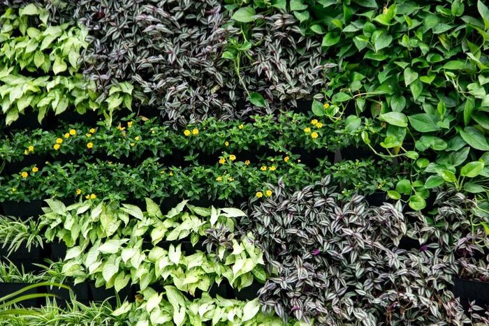 Đặc biệt, các công trình giao thông có yêu cầu cao về tầm nhìn, tĩnh không và khả năng tiếp cận phục vụ bảo trì. Vì vậy, cây xanh không được che khuất biển báo, hệ thống chiếu sáng, thiết bị kỹ thuật hoặc ảnh hưởng đến hoạt động kiểm tra, sửa chữa công trình. Đây cũng là những yếu tố cần được tính toán ngay từ giai đoạn thiết kế và duy trì trong suốt quá trình vận hành.