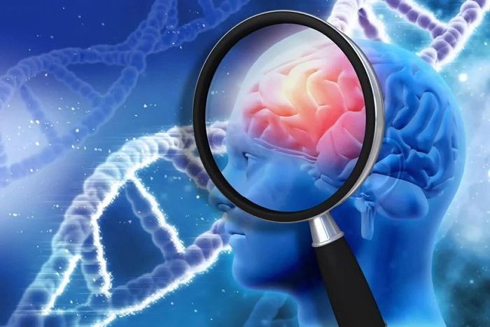 Các nhà khoa học phát hiện gene Pla2g2f có thể giúp bảo vệ não trước tổn thương do lão hóa, hạn chế suy giảm trí nhớ và mở ra hướng nghiên cứu mới về bệnh Alzheimer. (Nguồn: Shutterstock)