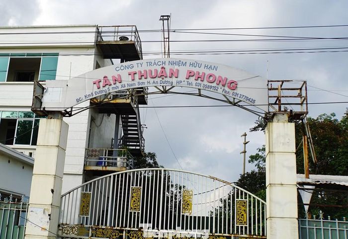 Trụ sở Công ty Tân Thuận Phong tại TP Hải Phòng.