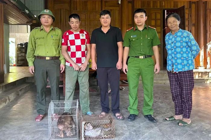 Người dân bàn giao 2 cá thể khỉ quý hiếm.