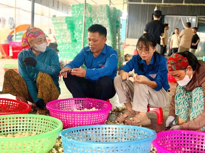 Tuổi trẻ Hà Tĩnh tham gia quảng bá đặc sản miền quê.