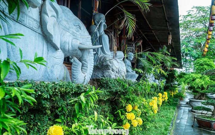Ở ngôi chùa cổ còn lưu giữ nhiều dấu tích nguyên sơ như tượng sư tổ bằng đá xanh, bát hương đá cổ, giếng cổ. Cảnh quan ở chùa còn có tượng Quan âm hướng biển, tháp 7 tầng, các tượng La Hán và Tứ Linh cùng không gian thanh bình.