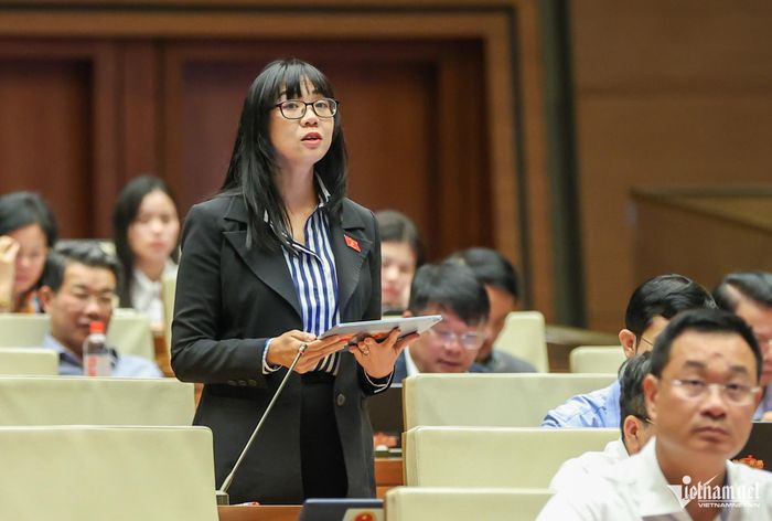 Đại biểu Trịnh Thị Tú Anh
