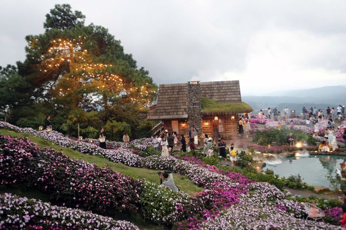 Khung cảnh ngập hoa ở Đà Lạt